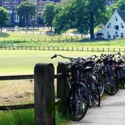 Bike Tour Arnhem