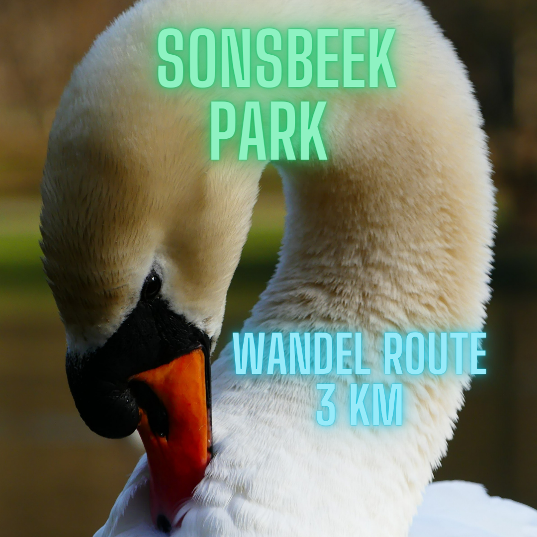 Sonsbeek Park wandelroute