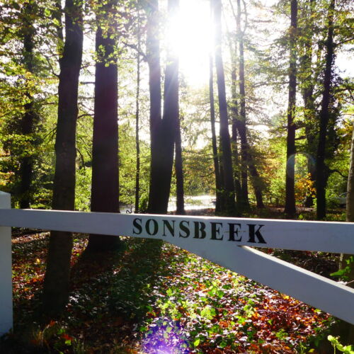 Sonsbeek Park wandelroute