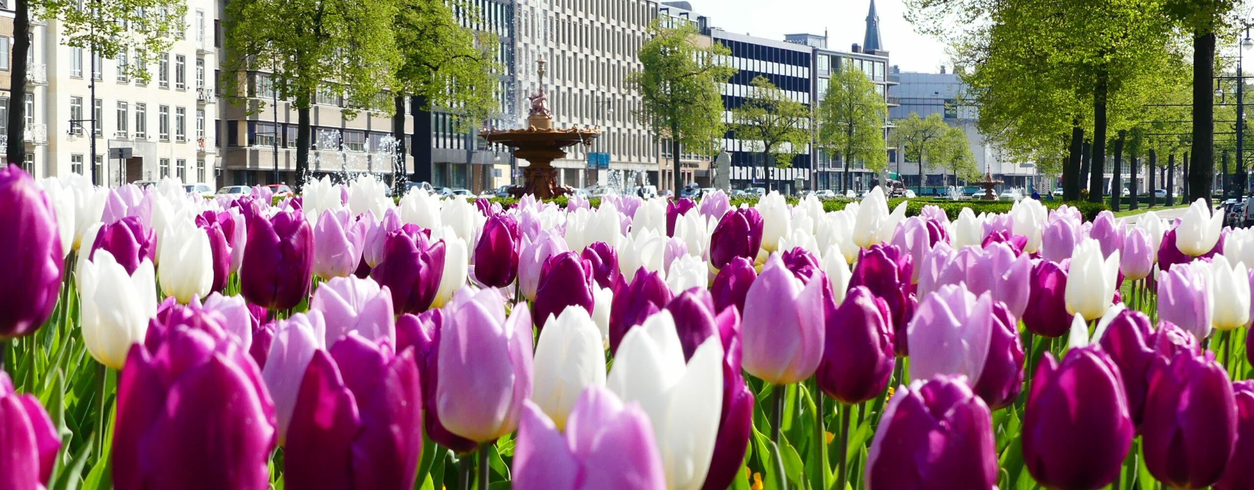 Bijzondere overnachting in Arnhem