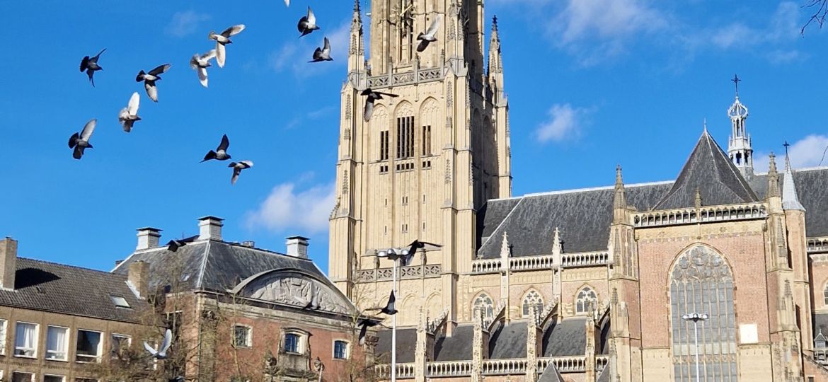 Die Eusebiuskirche in Arnheim: Geschichte und Symbolik der Erneuerung
