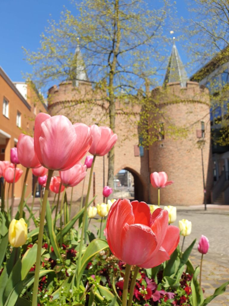 Geführte Tour in Arnheim