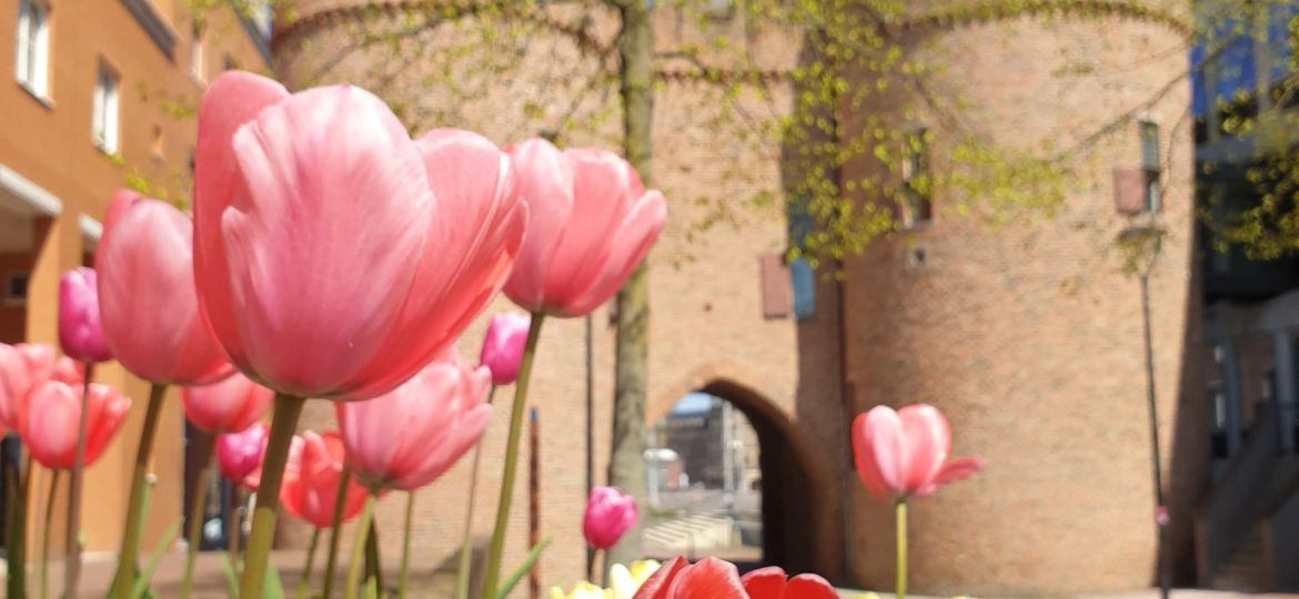 Geführte Tour in Arnheim