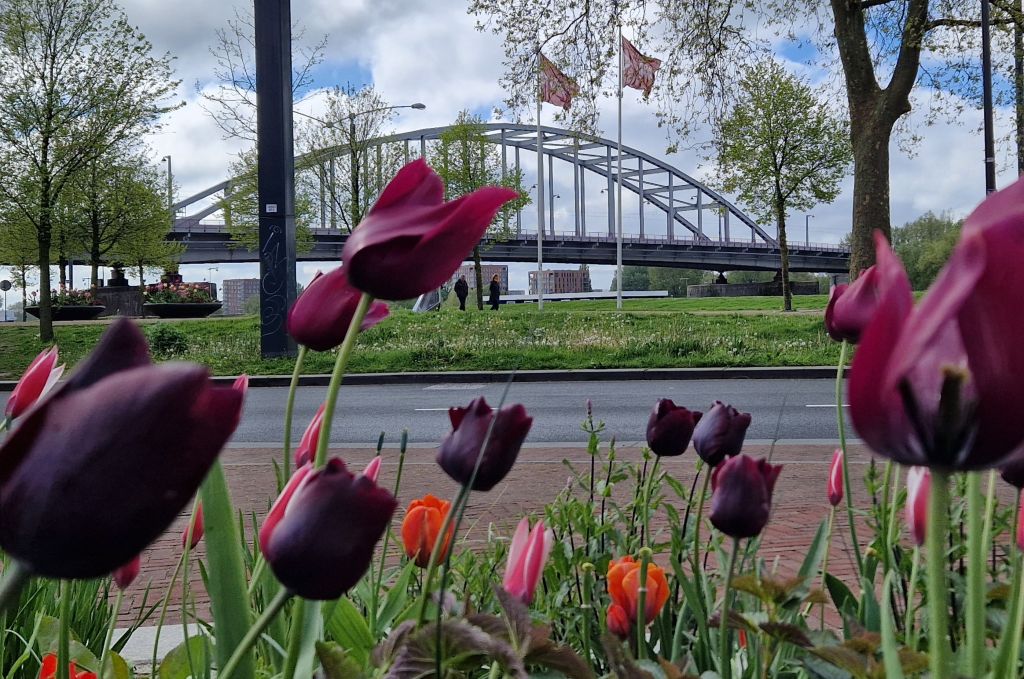 Airborne Tulip Memorials