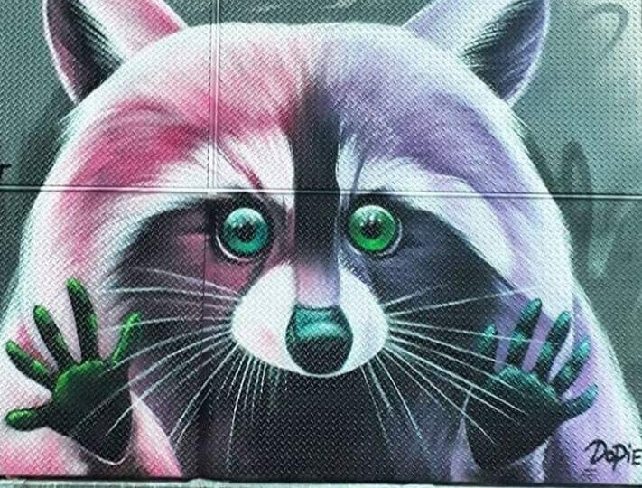 Graffiti-Spaziergang Arnheim