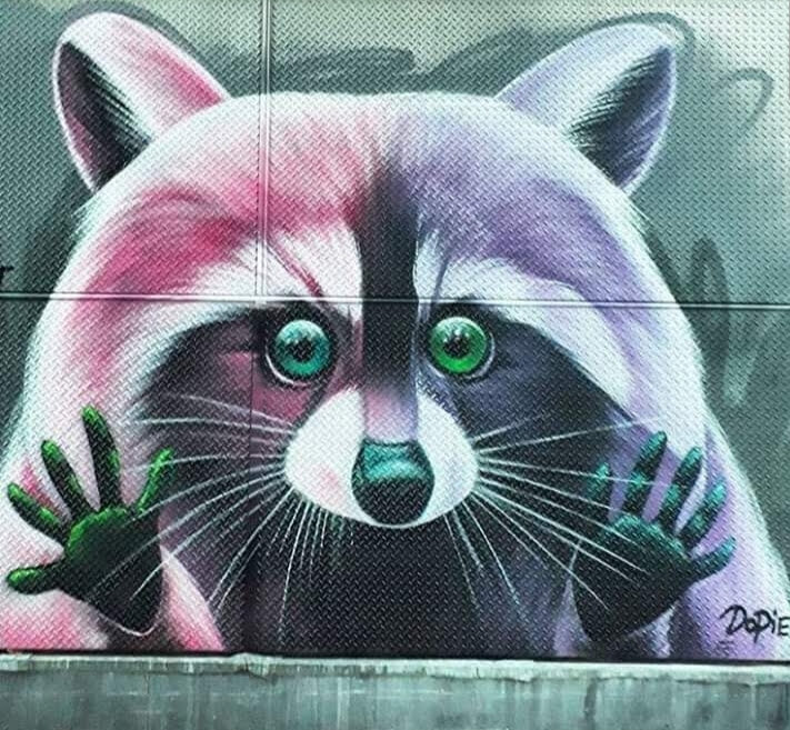 Graffiti-Spaziergang Arnheim