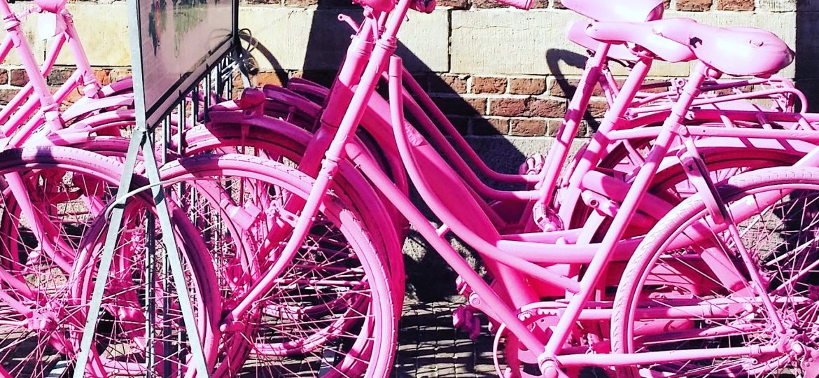 Mountainbiken in Arnhem? Dit zijn de beste routes