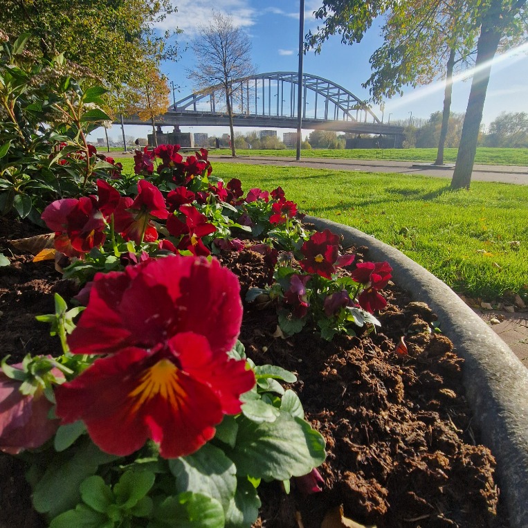 Slag om Arnhem Dag Tour met gids – 6 uur langs de belangrijkste locaties